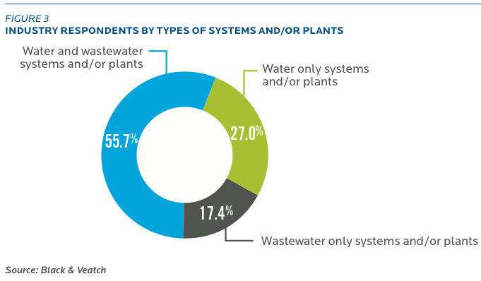 2013 Strategic Directions in the U.S. Water Industry