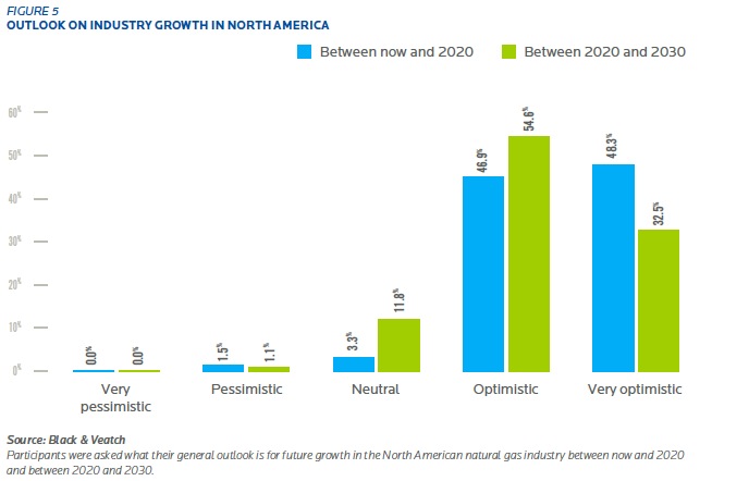 FIGURE 5 OUTLOOK ON INDUSTRY GROWTH IN NORTH AMERICA