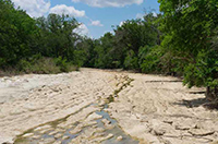 To the Last Drop: Wasting Water Endangers Texas