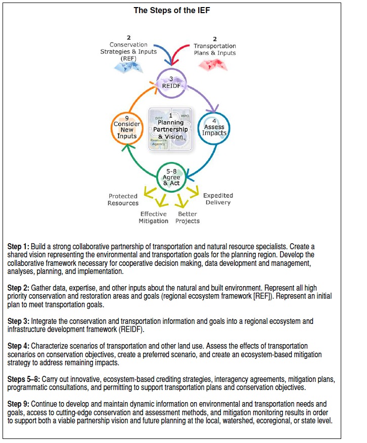 Figure ES.1. Steps of the Integrated Ecological Framework.