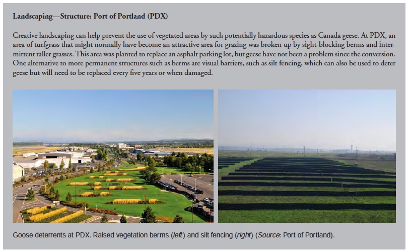 Landscaping—Structure: Port of Portland (PDX)