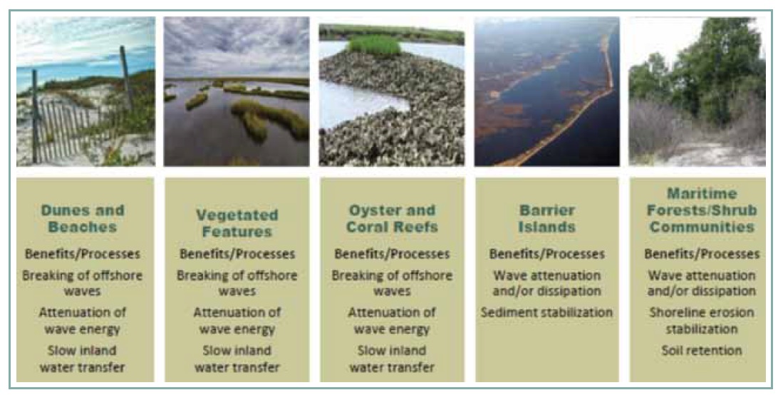 Figure 1. Natural and nature-based features at a glance.