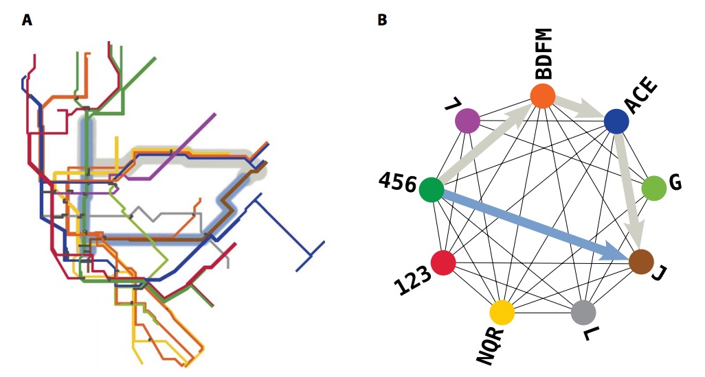 Fig. 1. Fastest and simplest paths in primal and dual networks. (A) In the primal network of the New York City (NYC) metropolitan system, a simplest path (light blue) from 125th Street on line 5 (dark green) to 121st Street on line J (brown) differs significantly from a fastest path (gray). There is only one connection for the above simplest path (Brooklyn Bridge–City Hall/Chambers Street) in Lower Manhattan. In contrast, the above fastest path needs three connections (5→F→E→J). We compute the duration of this path using travel times from the Metropolitan Transportation Authority (MTA) Data Feeds (see Materials and Methods). We neglect walking and waiting times. (B) In the dual space, nodes represent routes [where ACE, BDFM, and NQR are service names (49)], and edges represent connections. A “simplest path” in the primal space is defined as a shortest path with the minimal number of edges in the dual space (light-blue arrow). It has a length of C = 1 and occurs along the direct connection between line 5 (dark-green node) and line J (brown node). The above fastest path in the primal space has a length of C = 3 (gray arrows) in the dual space, as one has to change lines three times. [We extracted the schematic of the NYC metropolitan system from a map that is publicly available on Wikimedia Commons (45).]