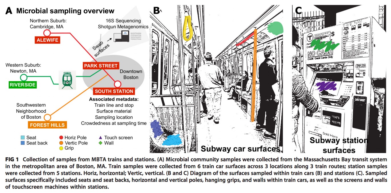 FIG 1 Collection of samples from MBTA trains and stations.