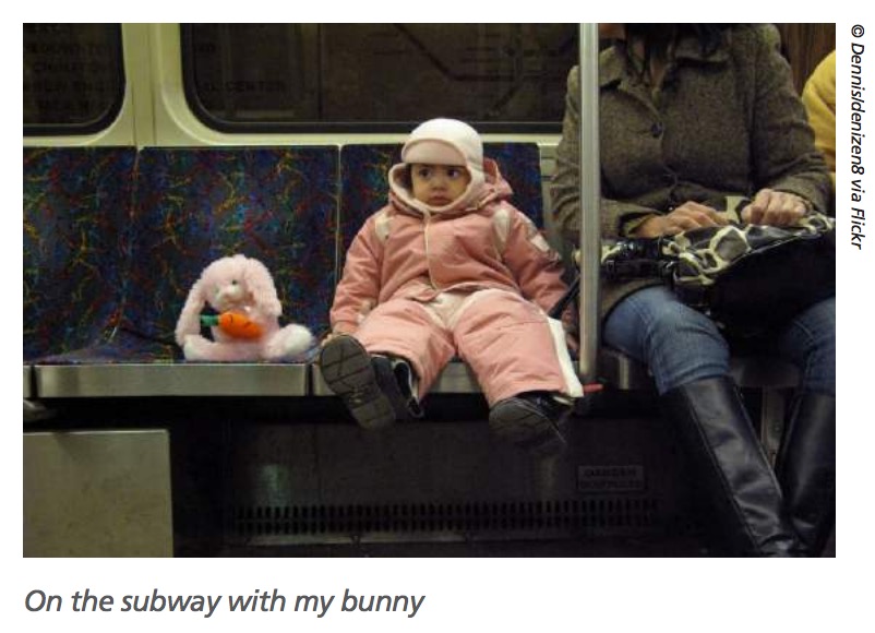 Transportation for Massachusetts: On the Subway with my Bunny