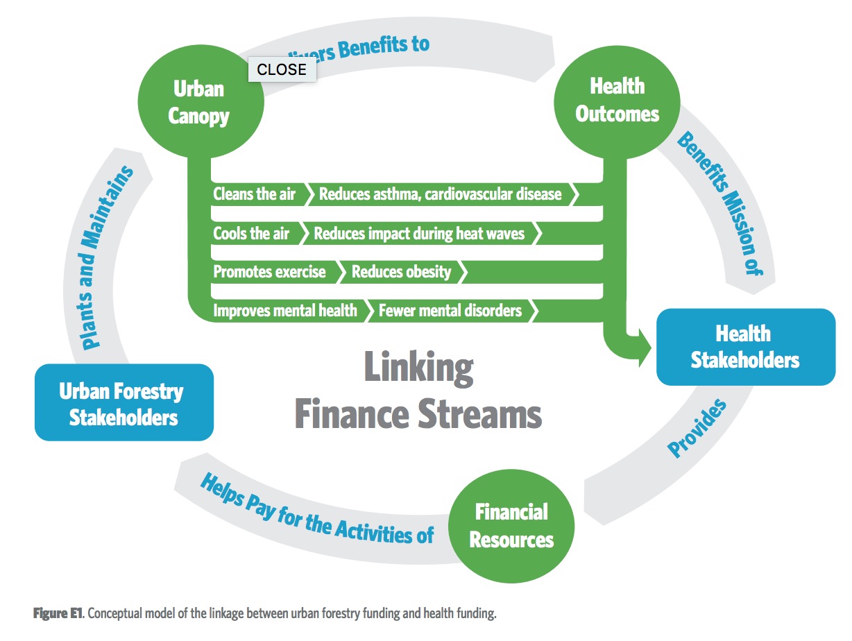 Figure E1. Trees and Public health. Conceptual model of the linkage between urban forestry funding and health funding.